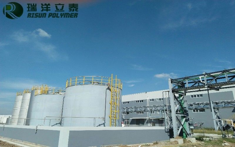 Risun Polymer China Co.,Ltd خط إنتاج المصنع