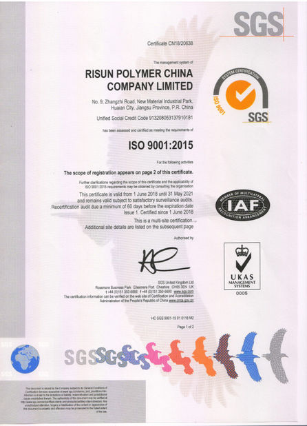 الصين Risun Polymer International  Co.,Ltd. الشهادات